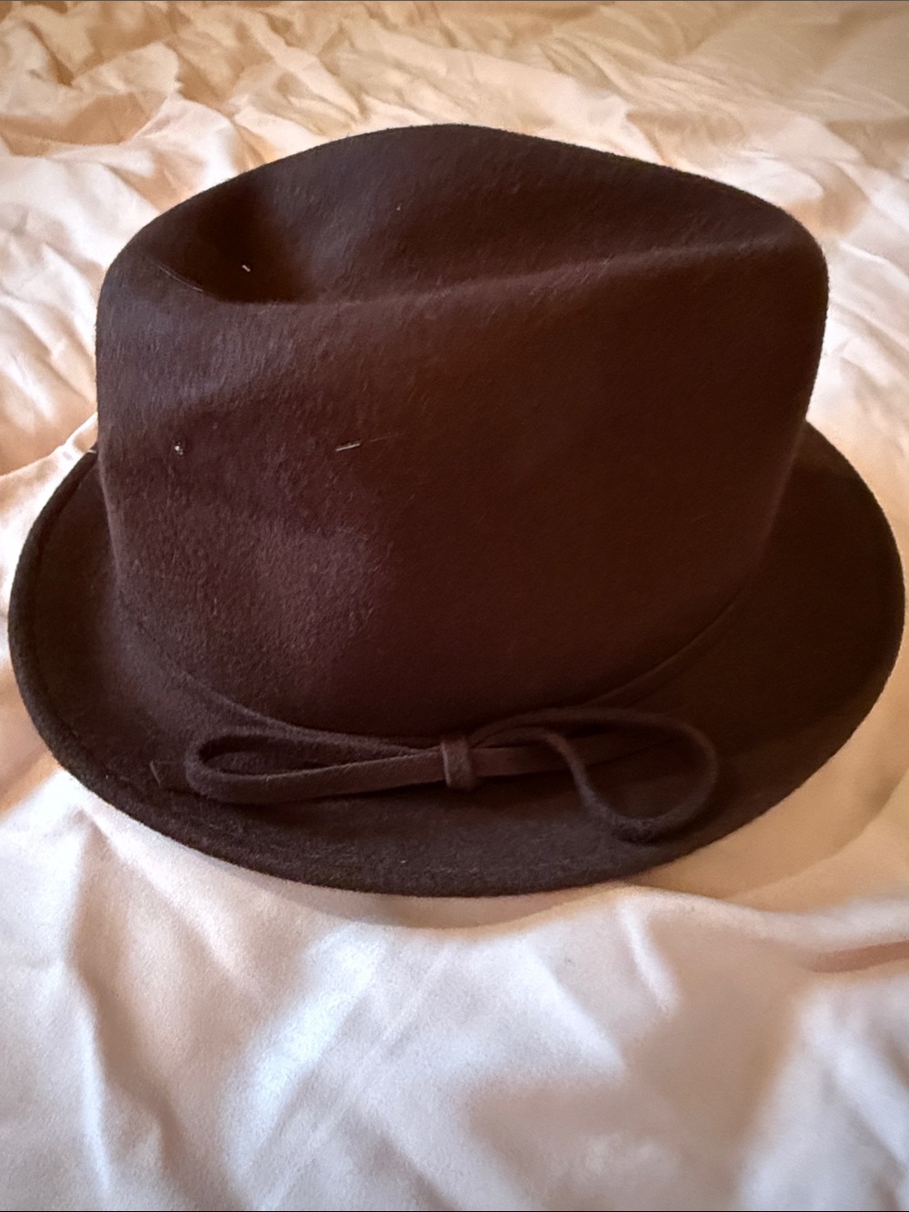 Classic Brown Felt Bow Trim Fedora